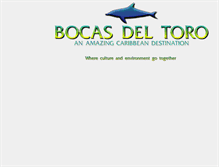 Tablet Screenshot of bocasdeltoro.org